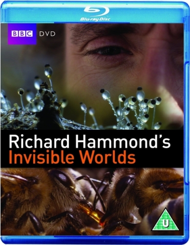 KH134 - Document - Richard Hammond